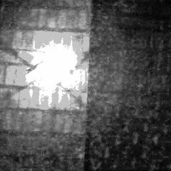 chofer de los boletos