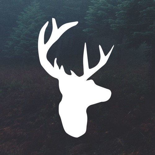 King of my heart - Bethel Music