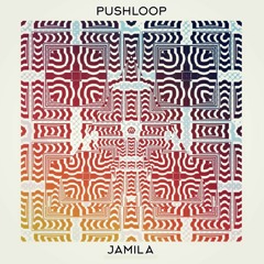 Pushloop - Aluminium