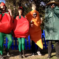 The Salad Song! (Let's Get Together And Make A Salad)