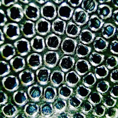 Familia Ferrari - Cameron Frye