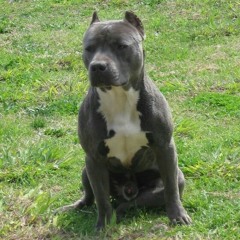 Travis Porter - Shake A Lil Faster (3Mix).mp3