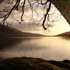 By The Banks (Loch Lomond)