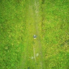 Rickinger – Die Lichtung (work in progress)