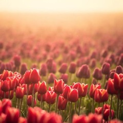 March 2016 | Playlist