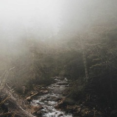 What We Can't See