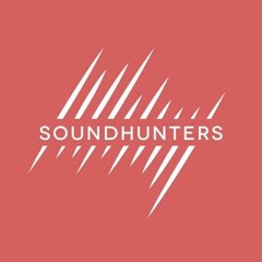 Connections (Zoolook Revisited | SoundHunters Contest)