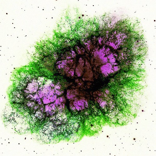 Lucas Savo & Ashton Benz - Physco