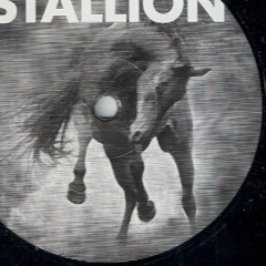 Stallion - Stallion #7 (Substance Remix)