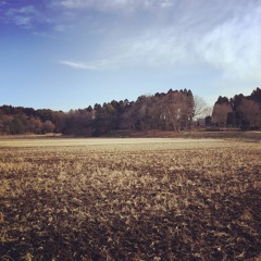 YACHIMATA_160207