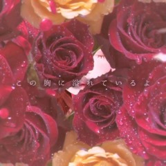 Niwaka Ame - Hanatan