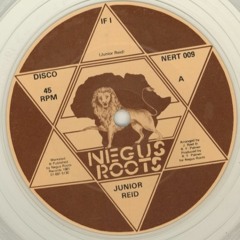 Junior Reid "If I" (Extended)