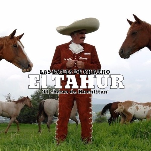 Listen to Vicente Fernandez Las Botas De Charro Ω El Tahur by El Charro de  Huentitán in tohrh playlist online for free on SoundCloud