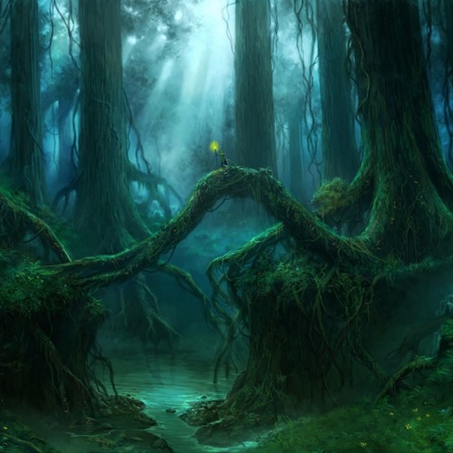 Enchanted Woods