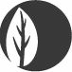 Danio Artists Mini Mix 2015