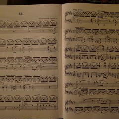 Rachmaninoff Prelude Op 32 No 12.wav