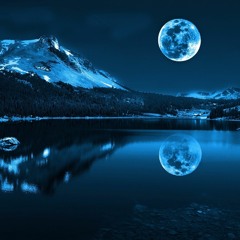Moonflower