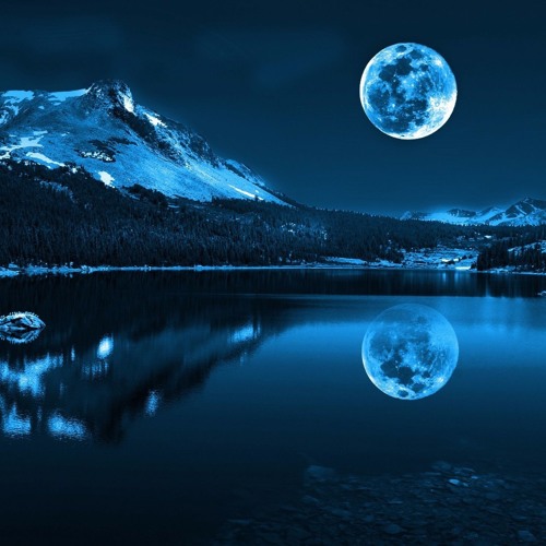 Moonflower