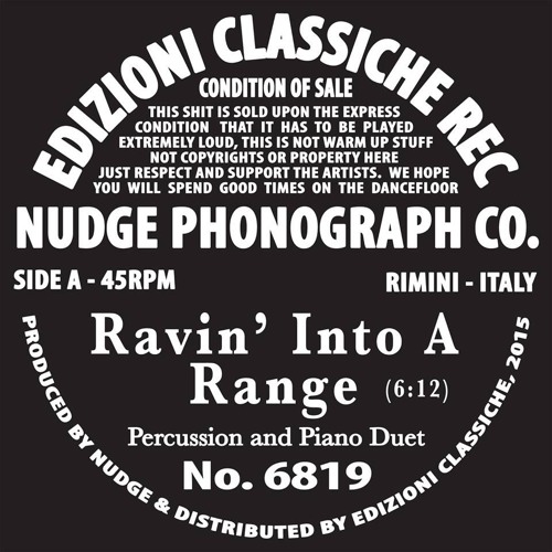 NUDGE - Reavin - Into - A-Range
