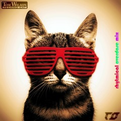 Tom Wilson - Techno Cat (rhytmical overdose mix)