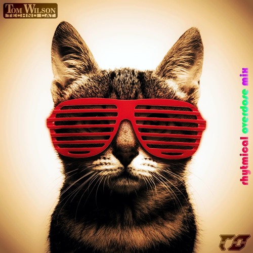 Tom Wilson - Techno Cat (rhytmical overdose mix)