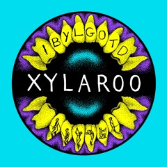 Xylaroo - I Bet You Look Good On The Dance Floor