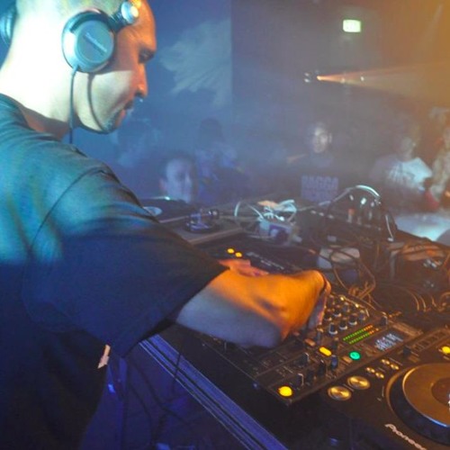 Majestic Jungle Is Massive 2!