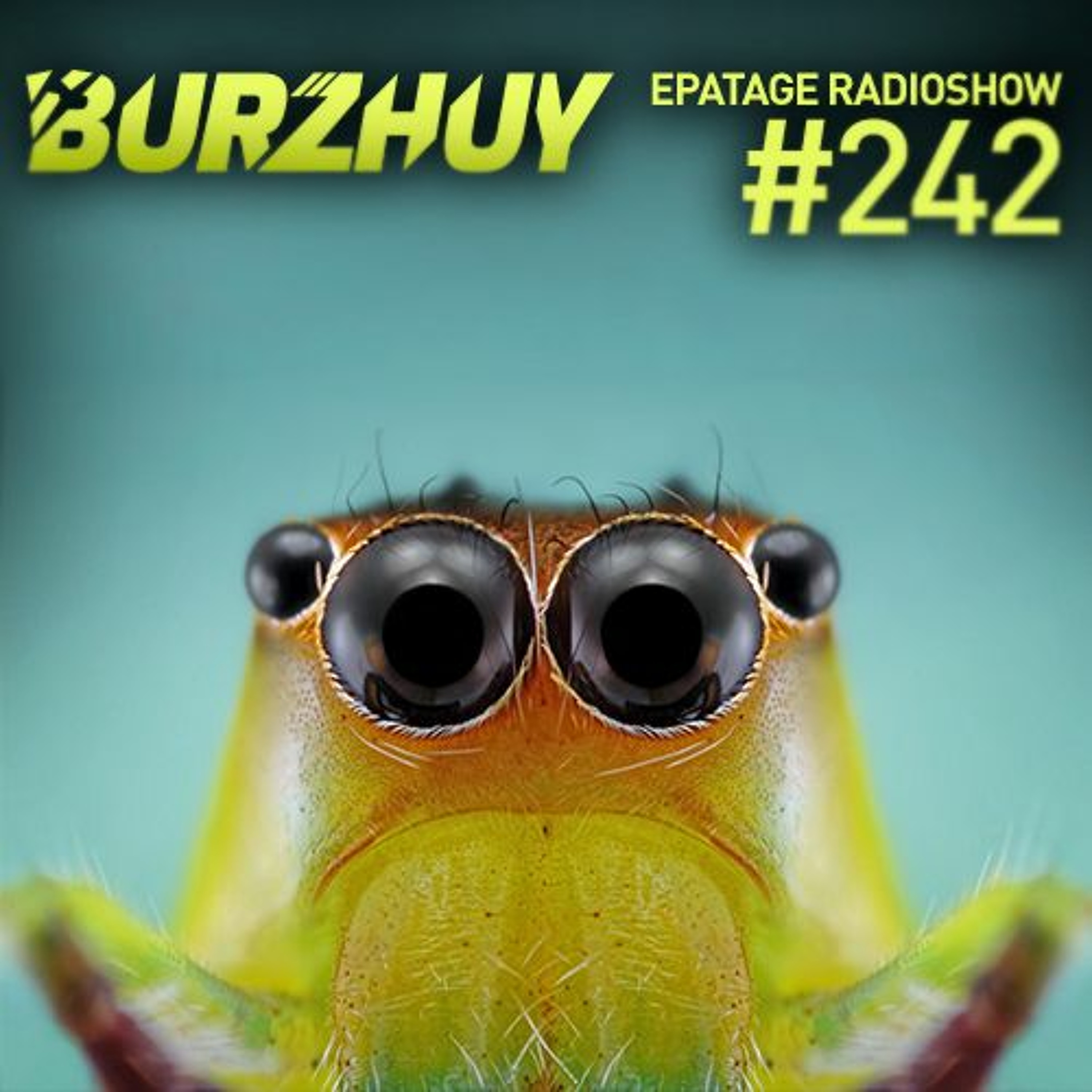 Burzhuy