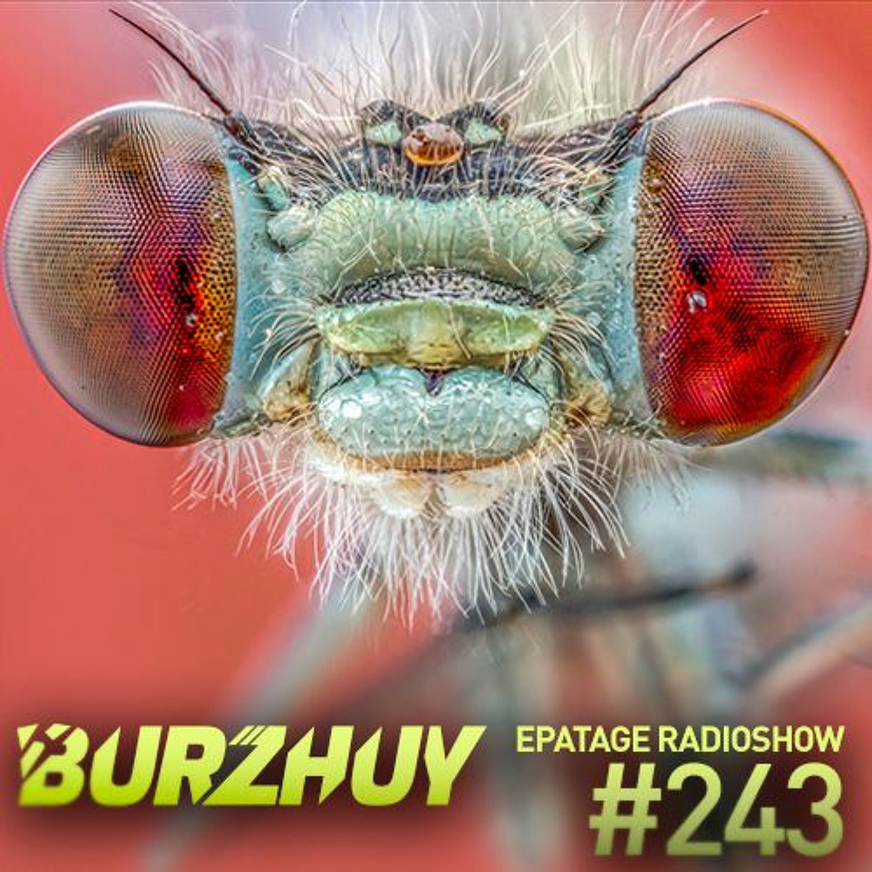 Burzhuy