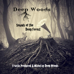 Sounds Of The Deep Forest