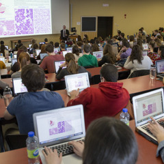 Le Dr Éric Philippe explique les limites de l'apprentissage avec un ordinateur.