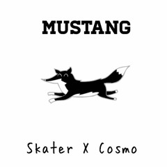 Mike Skater X Cosmo - Mustang