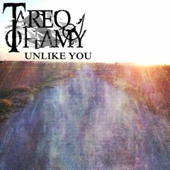 TareQ Tohamy - Unlike You