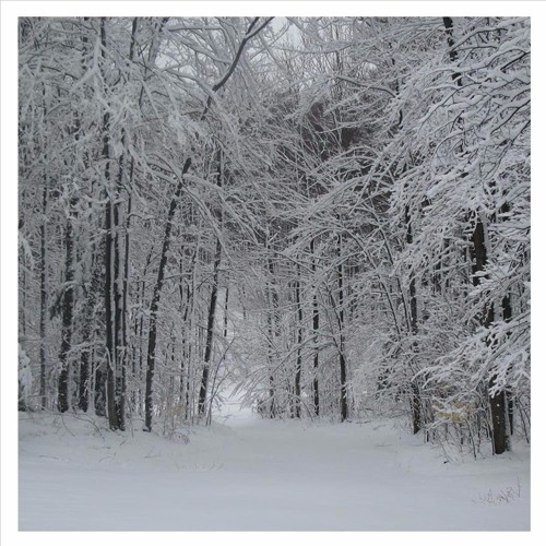 MnidoGiizis - Spirit Moon, January