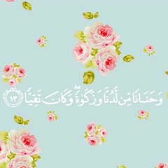 الشيخ أبو العينين شعيشع - وحَنَاناً مِّن لَّدُنَّا / مقام نهاوند