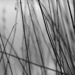 Samovilov - Napevno (iiiii eyes Remix)