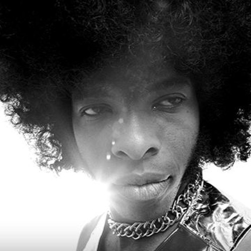 Stream A Conversation With Sly Stone by Chris Douridas Listen online
