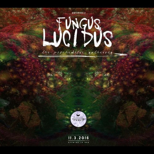 Guwanej Vs Gomba @ Fungus Lucidus