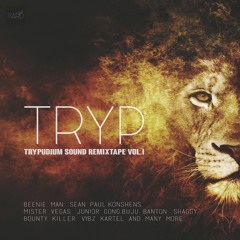 TRYP - Trypudium sound  RemixTape Volume 1