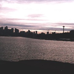 Place The Item In The Bag