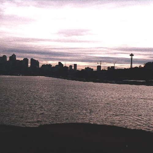 Place The Item In The Bag