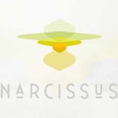 NARCISSUS (2013)