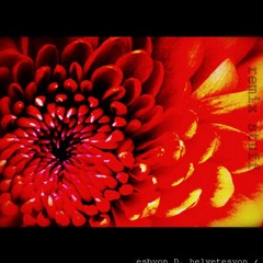sam_remix teaser noize