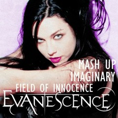Evanescence - Imaginary & Field Of Innocence (Mash Up)