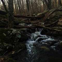 Basement - Aquasun (cover)