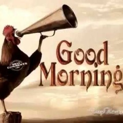 Tekno Good moorning