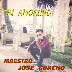 mi music 12
