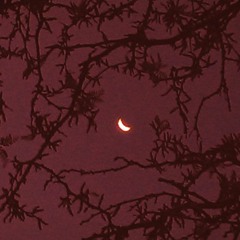 dark ambient