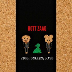 Hott Zaaq x Pigs,Snakes,Rats Freestyle x Prod. By LuckyLee