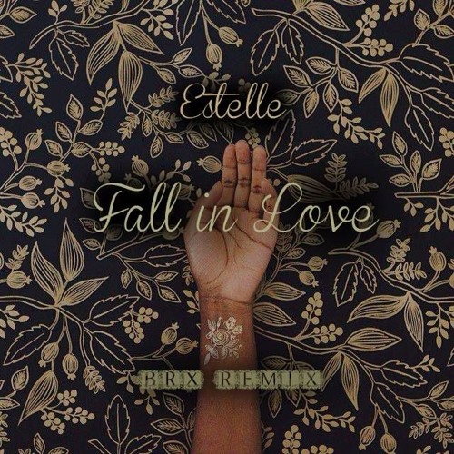 Estelle - Fall In Love (Brx Remix)